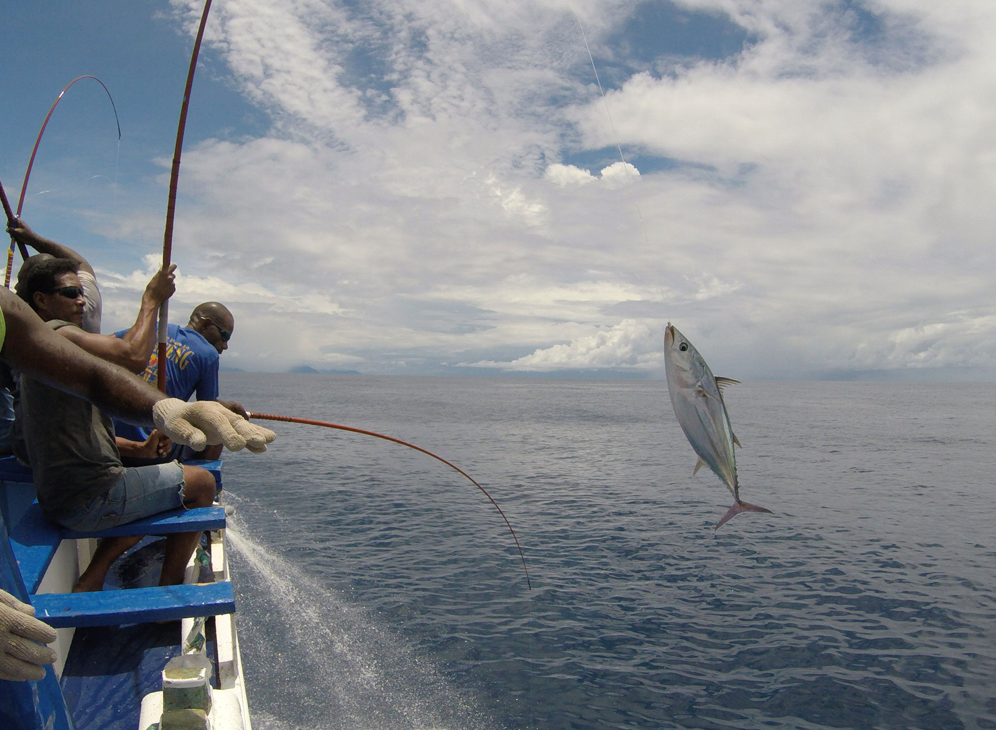 100% Sustainable Fishing
